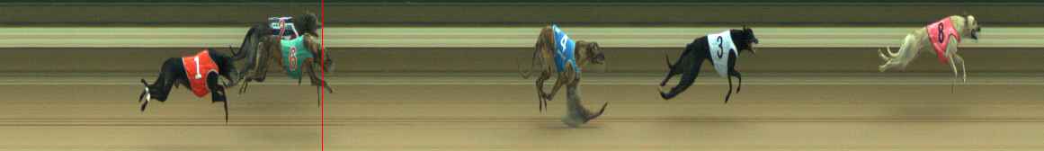 Photo finish for Warragul Race 2