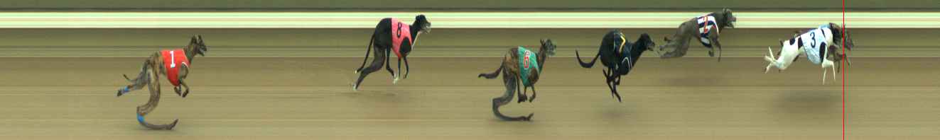 Photo finish for Warragul Race 3