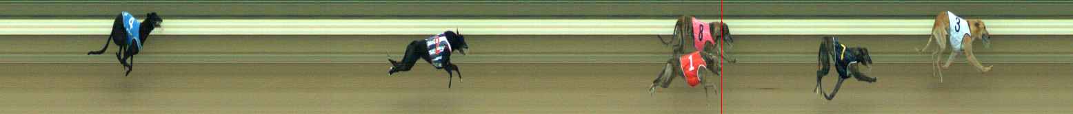 Photo finish for Warragul Race 4