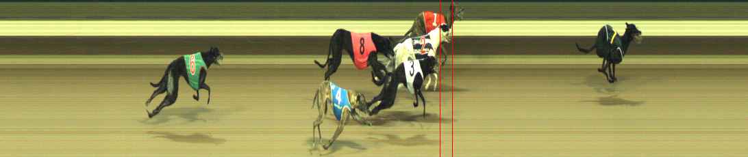 Photo finish for Warragul Race 5