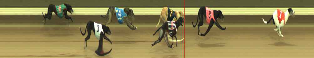 Photo finish for Warragul Race 6