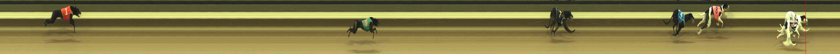 Photo finish for Warragul Race 7