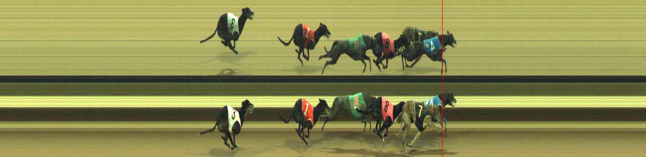Photo finish for Warragul Race 8