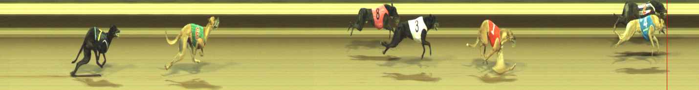 Photo finish for Warragul Race 9