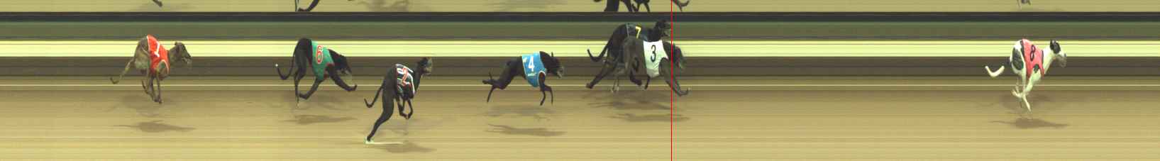 Photo finish for Warragul Race 1