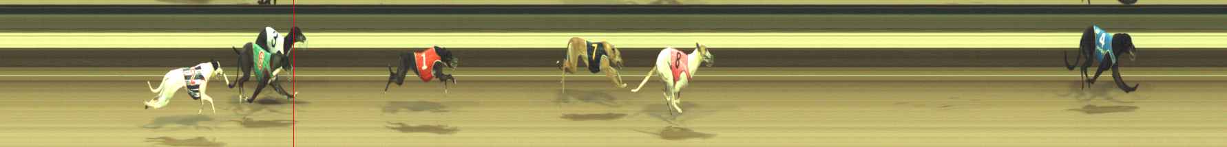 Photo finish for Warragul Race 2
