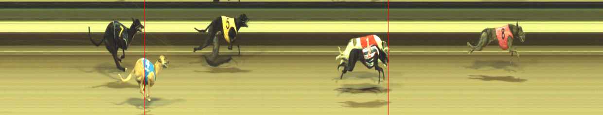 Photo finish for Warragul Race 3