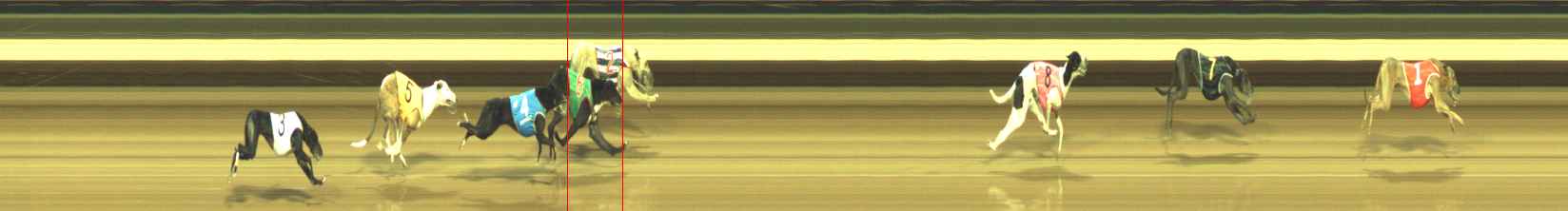 Photo finish for Warragul Race 6