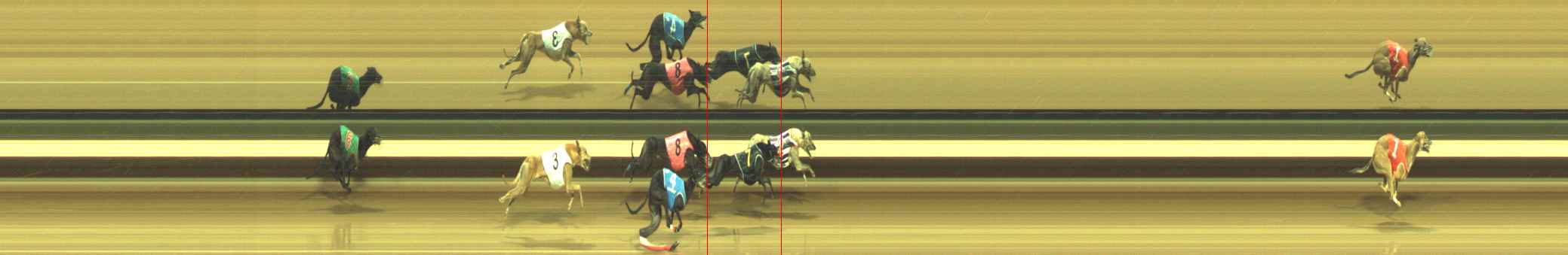 Photo finish for Warragul Race 8