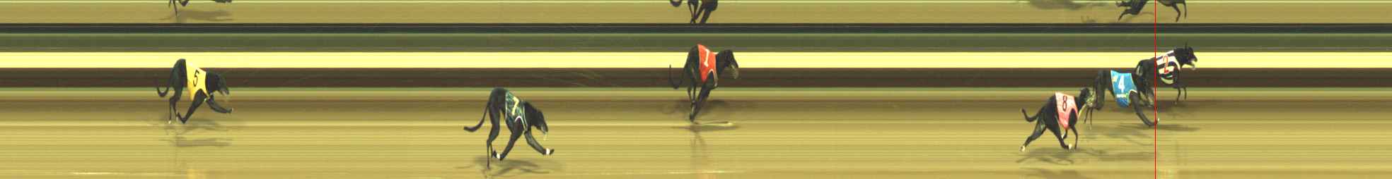 Photo finish for Warragul Race 9
