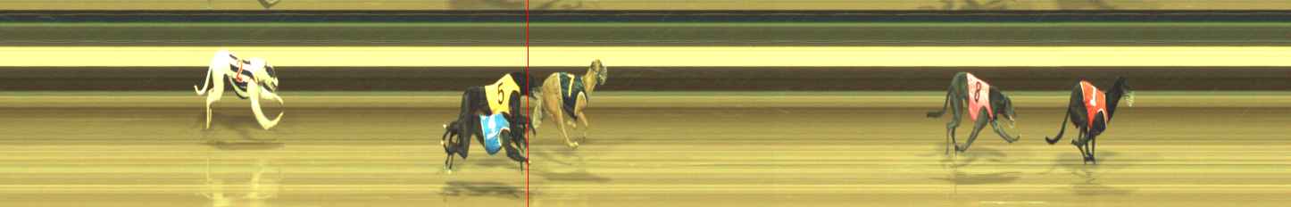 Photo finish for Warragul Race 10