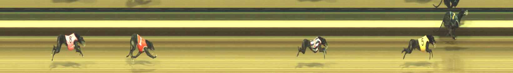 Photo finish for Warragul Race 11