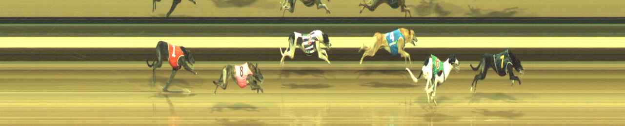 Photo finish for Warragul Race 12