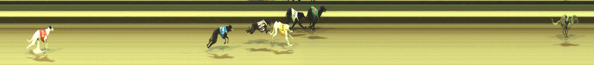 Photo finish for Warragul Race 1