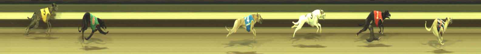 Photo finish for Warragul Race 2