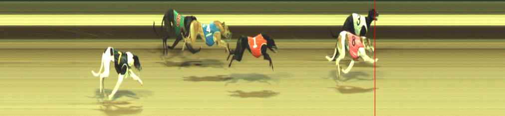 Photo finish for Warragul Race 3