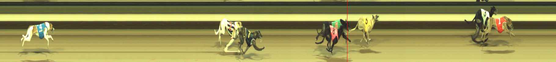 Photo finish for Warragul Race 4