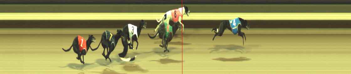 Photo finish for Warragul Race 5