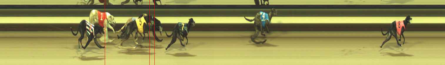 Photo finish for Warragul Race 7