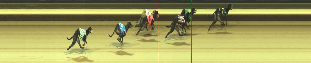 Photo finish for Warragul Race 8