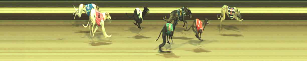 Photo finish for Warragul Race 10