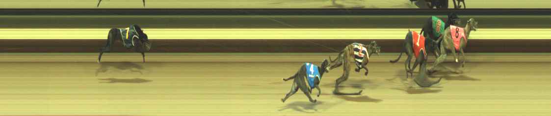 Photo finish for Warragul Race 11