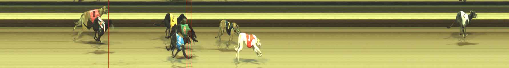 Photo finish for Warragul Race 12