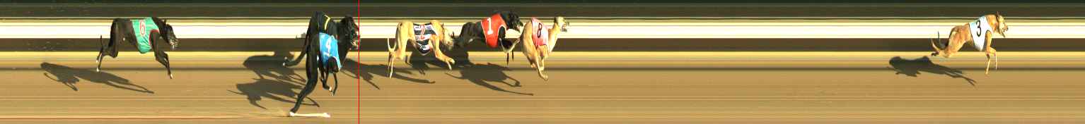 Photo finish for Warragul Race 1