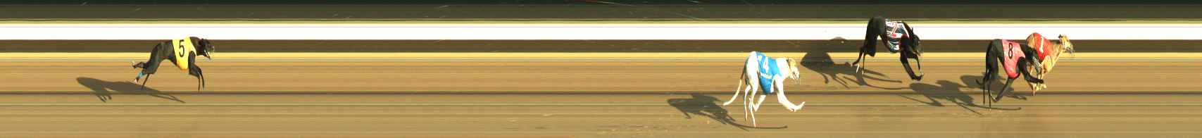 Photo finish for Warragul Race 2