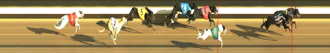 Photo finish for Warragul Race 3