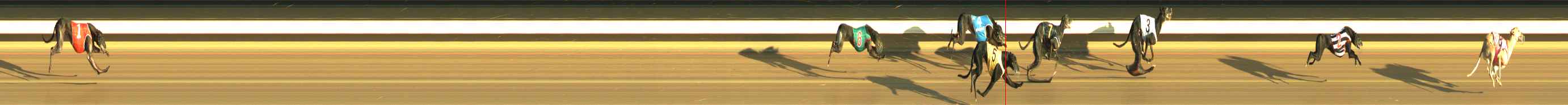Photo finish for Warragul Race 4