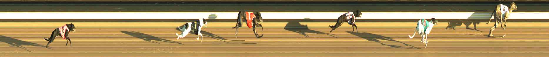 Photo finish for Warragul Race 5