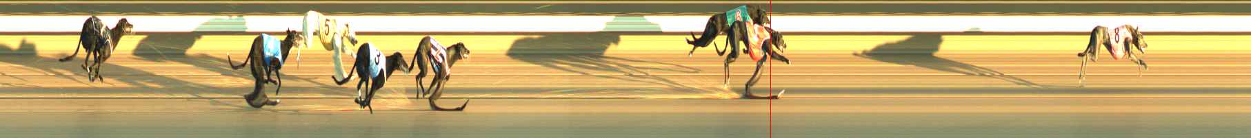 Photo finish for Warragul Race 6