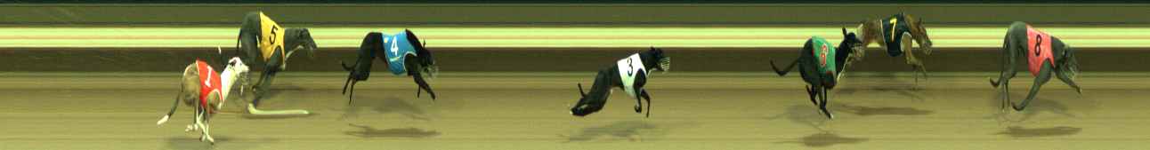 Photo finish for Warragul Race 8
