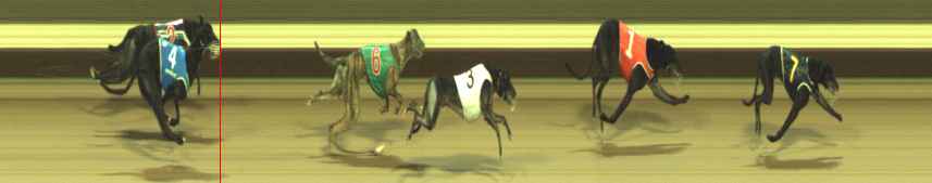 Photo finish for Warragul Race 10