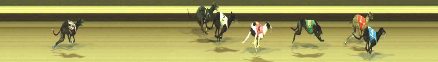 Photo finish for Warragul Race 11