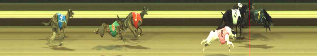 Photo finish for Warragul Race 12