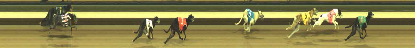Photo finish for Warragul Race 2