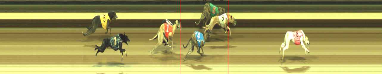 Photo finish for Warragul Race 3