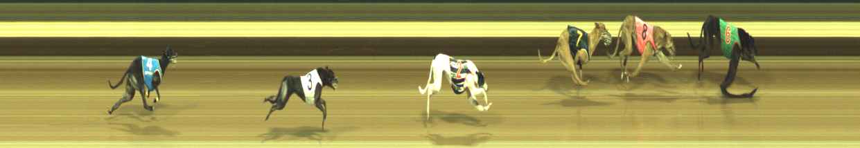 Photo finish for Warragul Race 4
