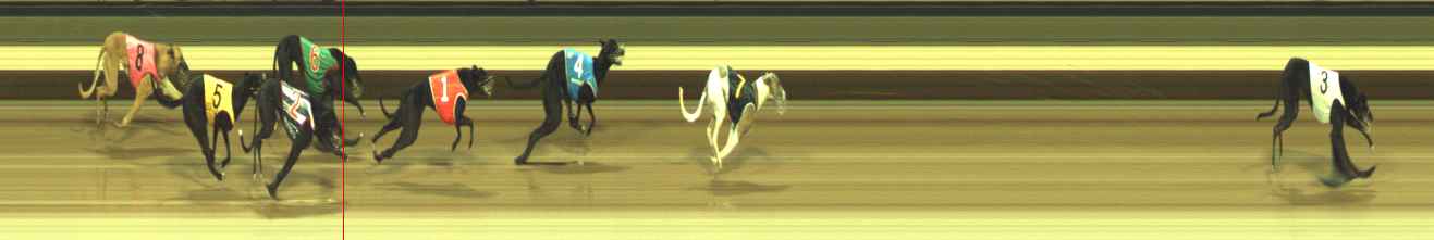 Photo finish for Warragul Race 5