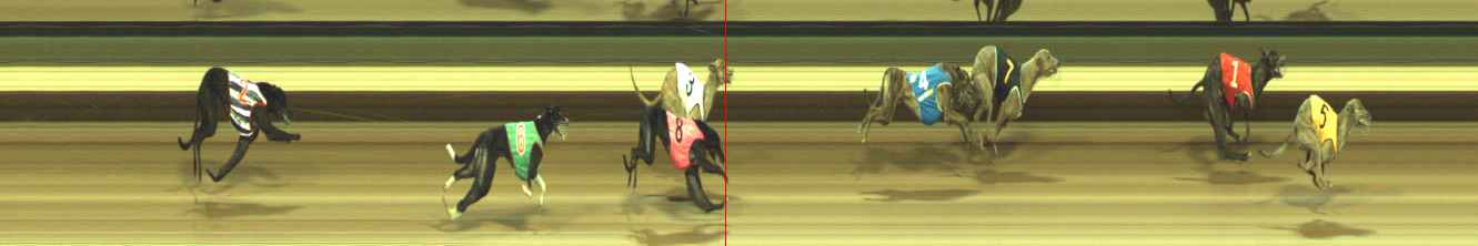 Photo finish for Warragul Race 11