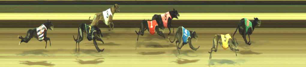 Photo finish for Warragul Race 12