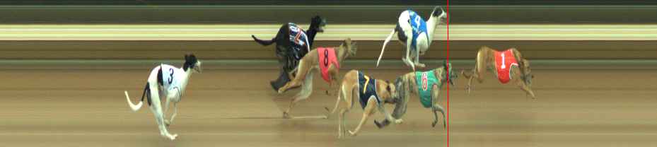Photo finish for Warragul Race 2