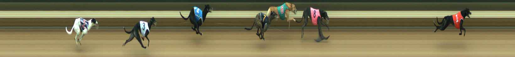 Photo finish for Warragul Race 3