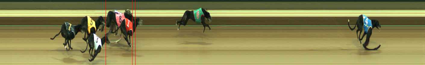 Photo finish for Warragul Race 5