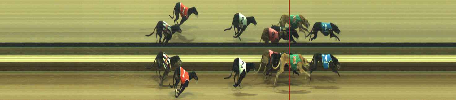 Photo finish for Warragul Race 6
