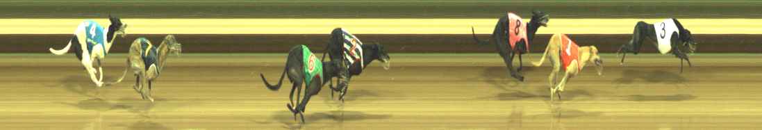 Photo finish for Warragul Race 8