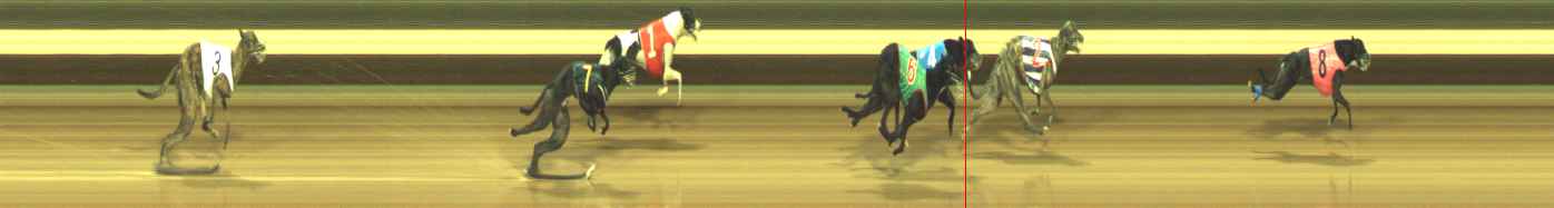 Photo finish for Warragul Race 9