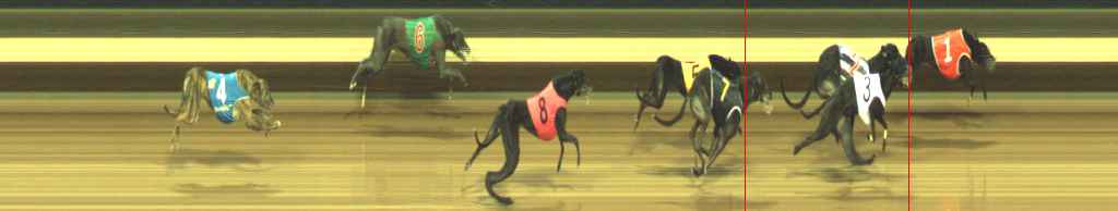 Photo finish for Warragul Race 10